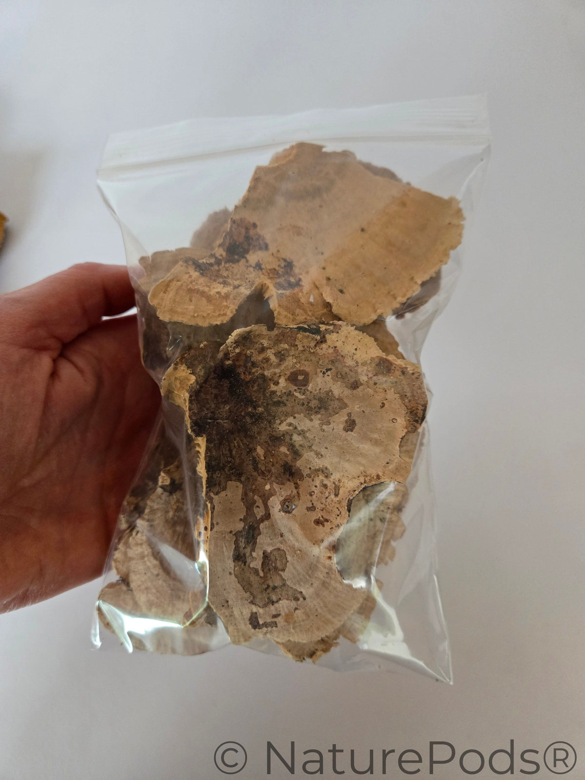 Pieces of mushrooms in a plastic bag