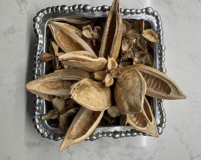 Dried flowers in a decorative silver container on a light gray background