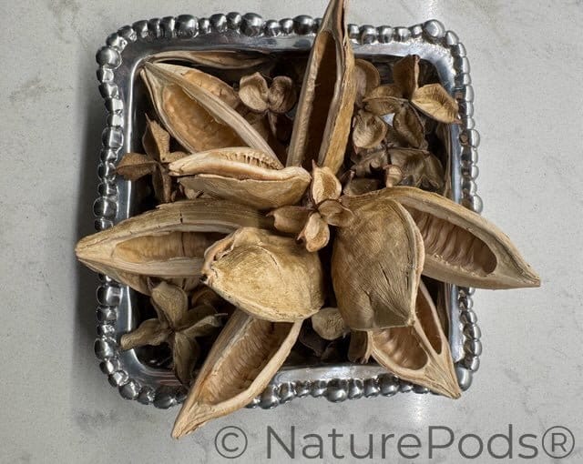 Dried flowers in a decorative silver container on a light gray background