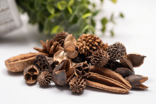Mini/Nano Seed Pod Variety Pack - 37 Pieces