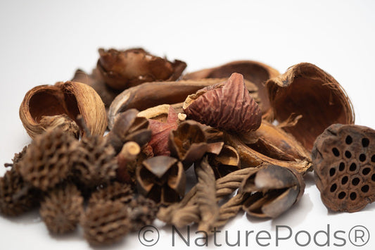 Mini/Nano Seed Pod Variety Pack - 30 Pieces
