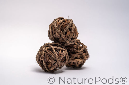 Three brown vine balls on a white background. Used for harvesting springtails and as home decor in a bowl.