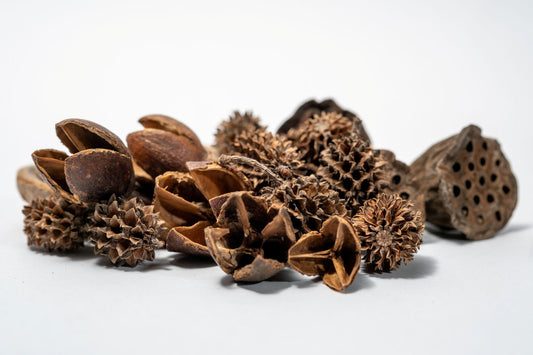 Packaged botanical seed pods with a visible brand label on a white background