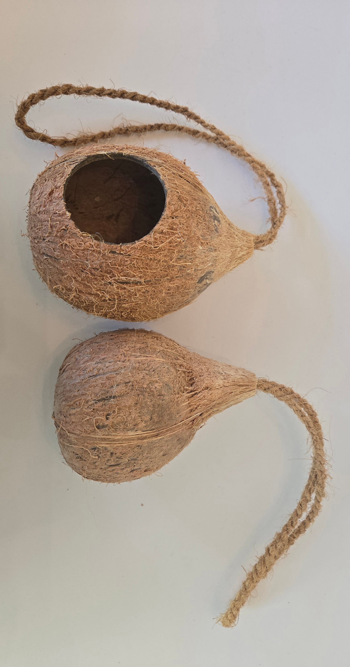Hanging Coconut Shell Hideout