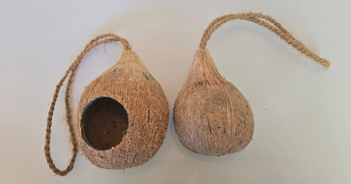 A photo of 2 Hanging Coconut Shell Hideout. They are brown textured shell hideouts on a white background. One is showing the front and the othe is showing the back