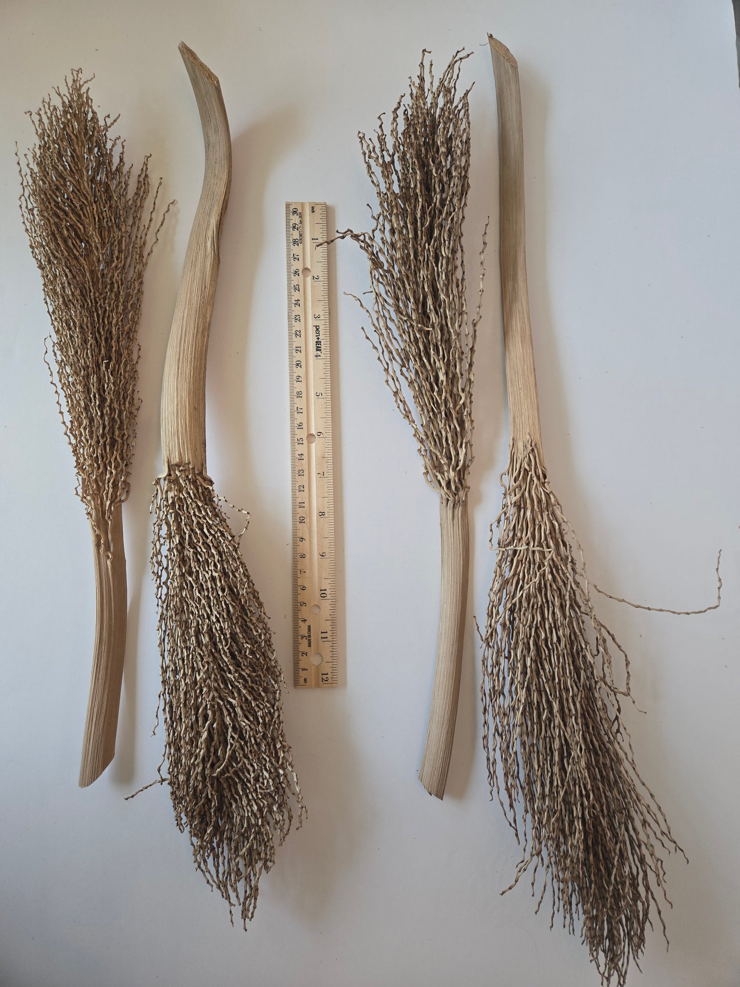 Date Palm Stalk