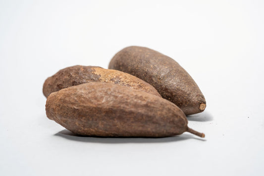 Three dried Trumpet Seed Pods rough, brown surfaces and hollow, jagged openings are arranged on a white background—perfect for aquarium decor, shrimp hides, or bioactive terrariums.
