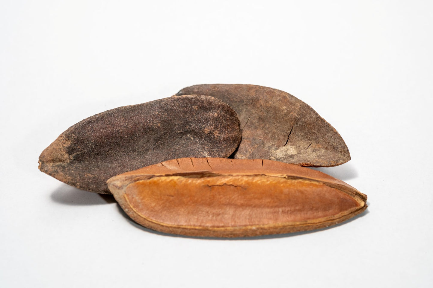 Three triangle pods laying horizontal showing the dark brown top of the pod and the light brown bottom of the seed pod on a white background.
