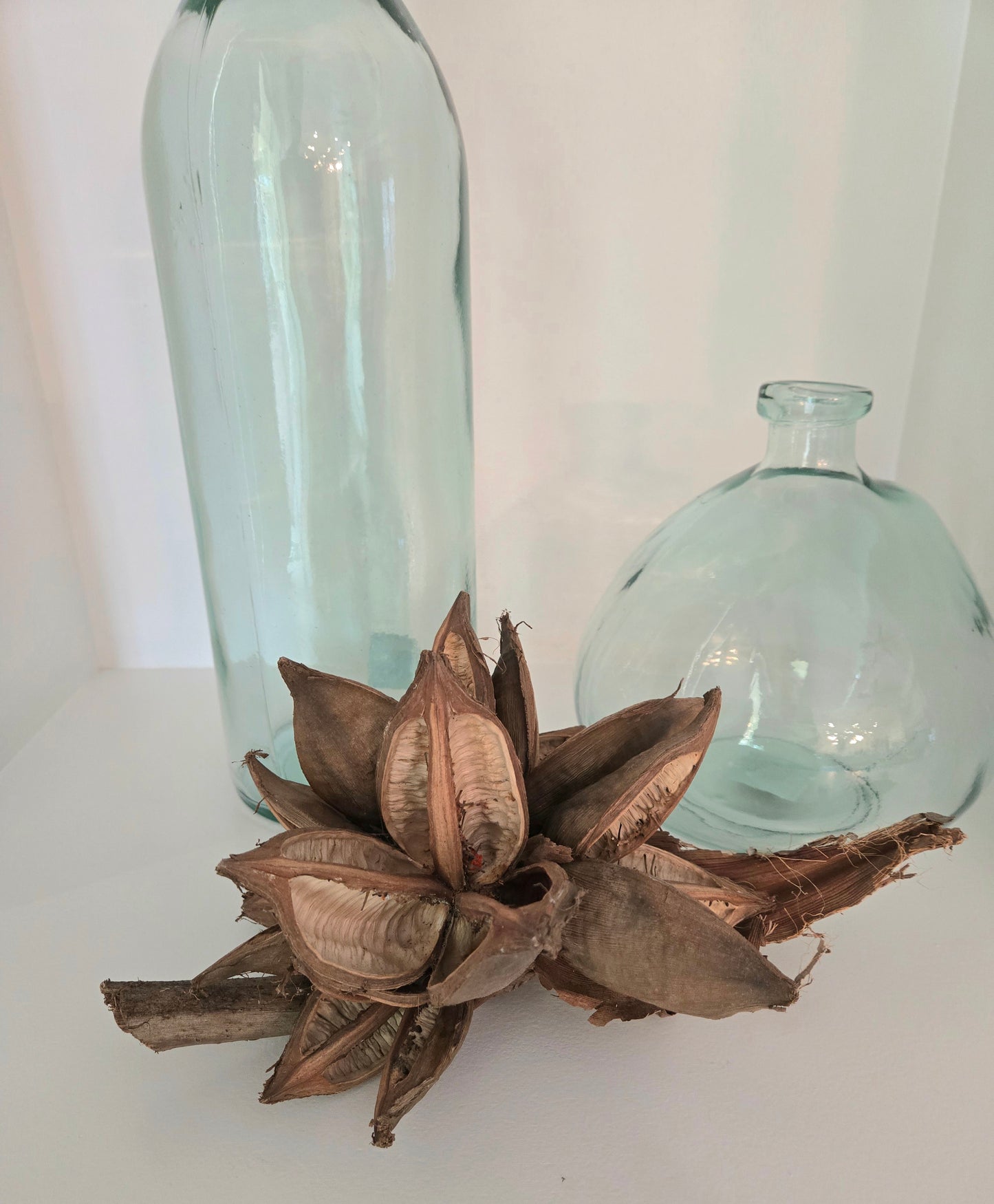 Decorative arrangement with dried plant and two glass vases on a white surface