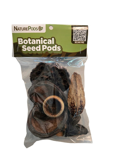 Packaged botanical seed pods with 'NaturePods' branding on a white background