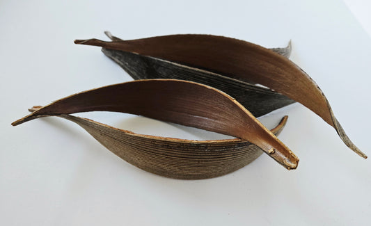 Coconut Palm Frond Paddles (3 pack)