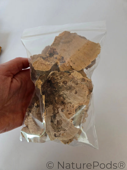 Pieces of mushrooms in a plastic bag 