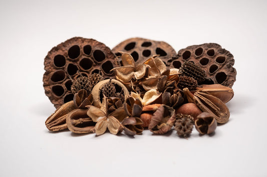 The Botanical Seed Pod Variety Pack - 33 Pieces by NaturePods includes lotus pods, pine cones, seed pods, and a yellow gourd arranged on a white surface—ideal for bioactive terrariums.