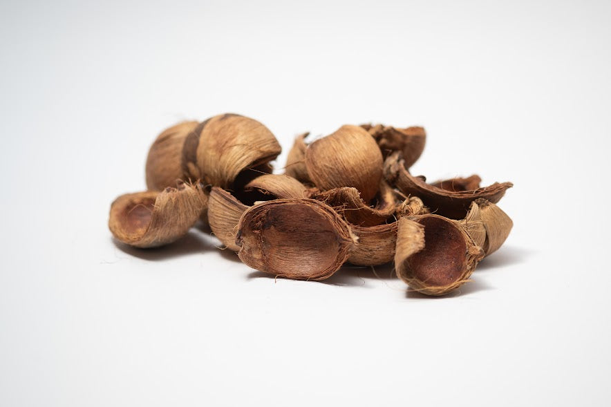 Betel Nut Husks (WHOLESALE)