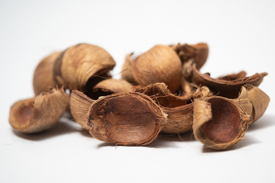 A photo of Betel Nut Husks
