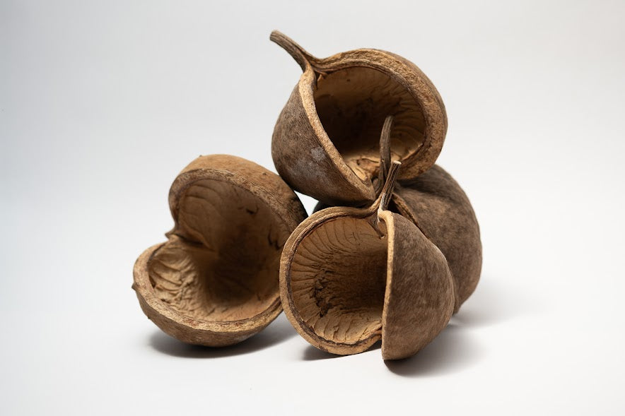 This is a photo of Buddha Nuts