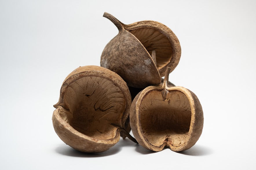 This is a photo of Buddha Nuts