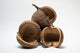 This is a photo of Buddha Nuts