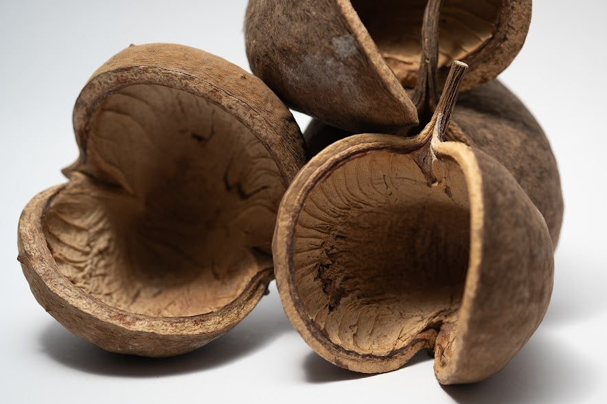 This is a close up photo of Buddha Nuts