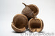 This is a photo of Buddha Nuts
