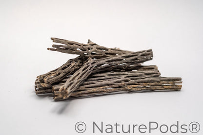 Stack of many six inch pieces of cholla wood with holes on a white background.  Cholla wood is used as isopod food, hermit crab enrichment, and aquarium wood.