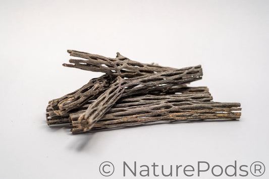 Stack of many six inch pieces of cholla wood with holes on a white background.  Cholla wood is used as isopod food, hermit crab enrichment, and aquarium wood.