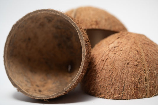 A photo of Coconut Shell Halves