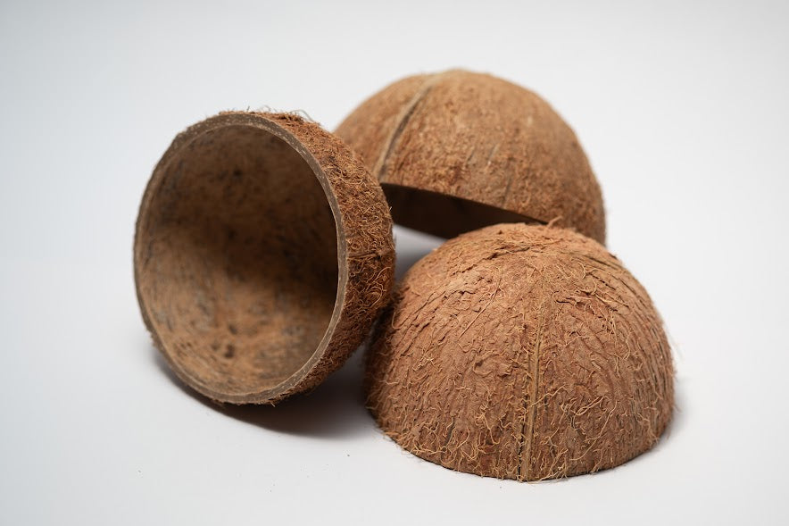 A photo of Coconut Shell Halves