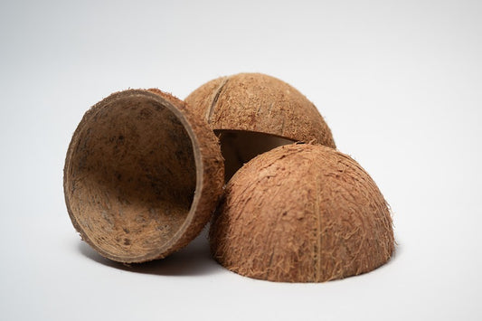 A photo of Coconut Shell Halves