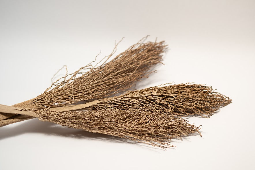 A close up photo of 3 Date Palm Stalks