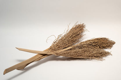 A photo of 3 Date Palm Stalks