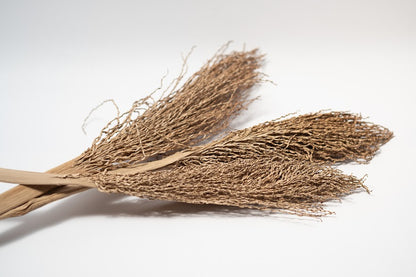 A close up photo of 3 Date Palm Stalks