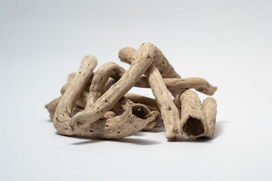 A photo of a pile of Dried Cabbage Roots. They are light brown and smooth roots on a white background.