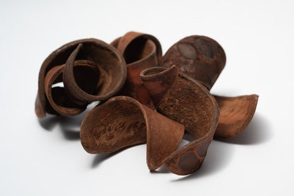 A photo of a pile of Elephant Ear Pods. They are brown texture seed pods on a white background.