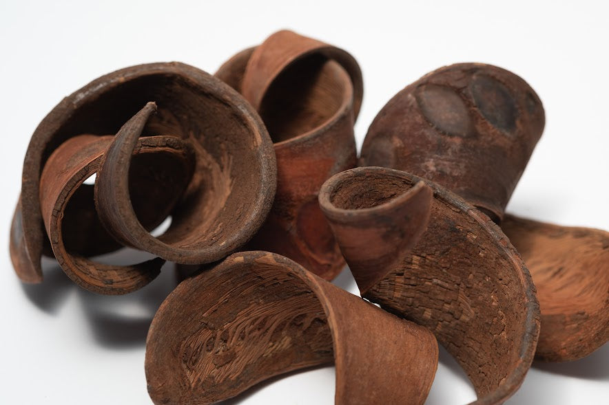 A photo of a pile of Elephant Ear Pods. They are brown texture seed pods on a white background.