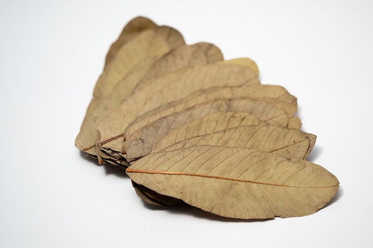 Dried Guava Leaves - 25 pack