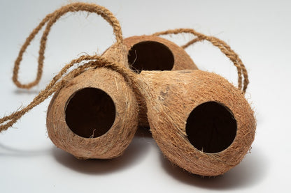 A photo of 3 Hanging Coconut Shell Hideout. They are brown textured shell hideouts on a white background.