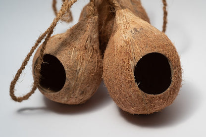 A close up photo of 3 Hanging Coconut Shell Hideout. They are brown textured shell hideouts on a white background.