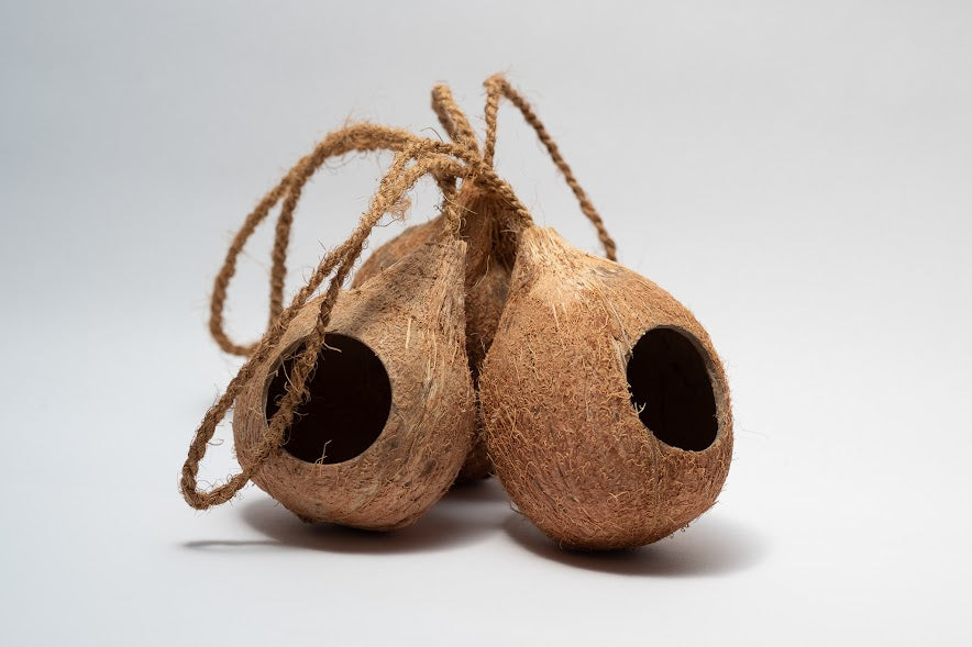A photo of Hanging Coconut Shell Hideout. They are brown textured shell hideouts on a white background.