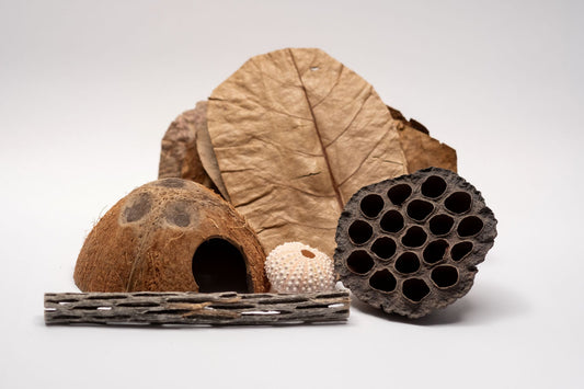 Hermit Crab Botanical Enrichment Pack