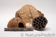 Dried catappa leaves, a coconut cave, light pink sea urchin shell, large lotus pod with many holes, and a six-inch piece of cholla wood with holes used in crabitats for hermit crab climbing and enrichment.  Displayed on a white background