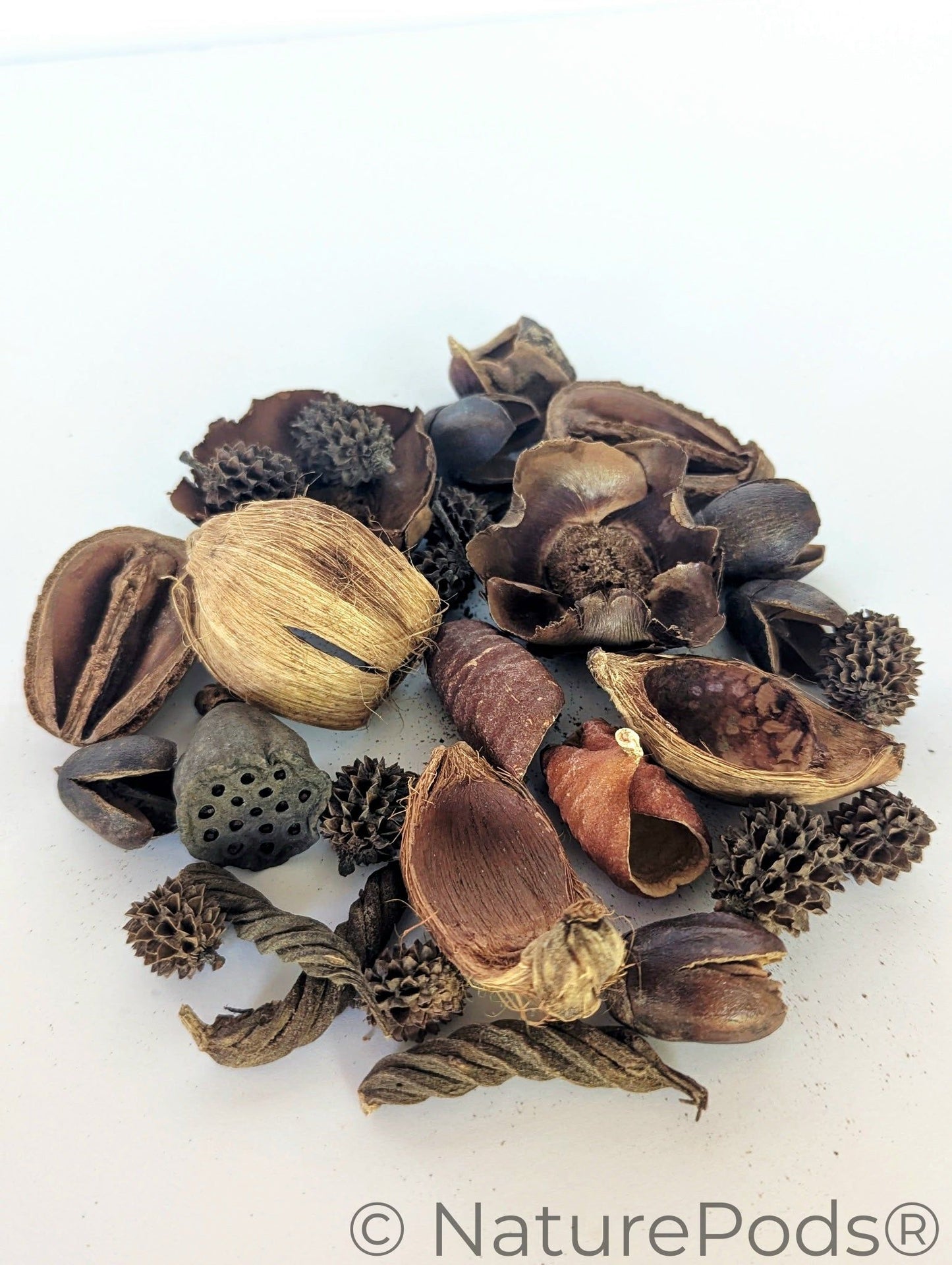 Mini/Nano Seed Pod Variety Pack - 30 Pieces