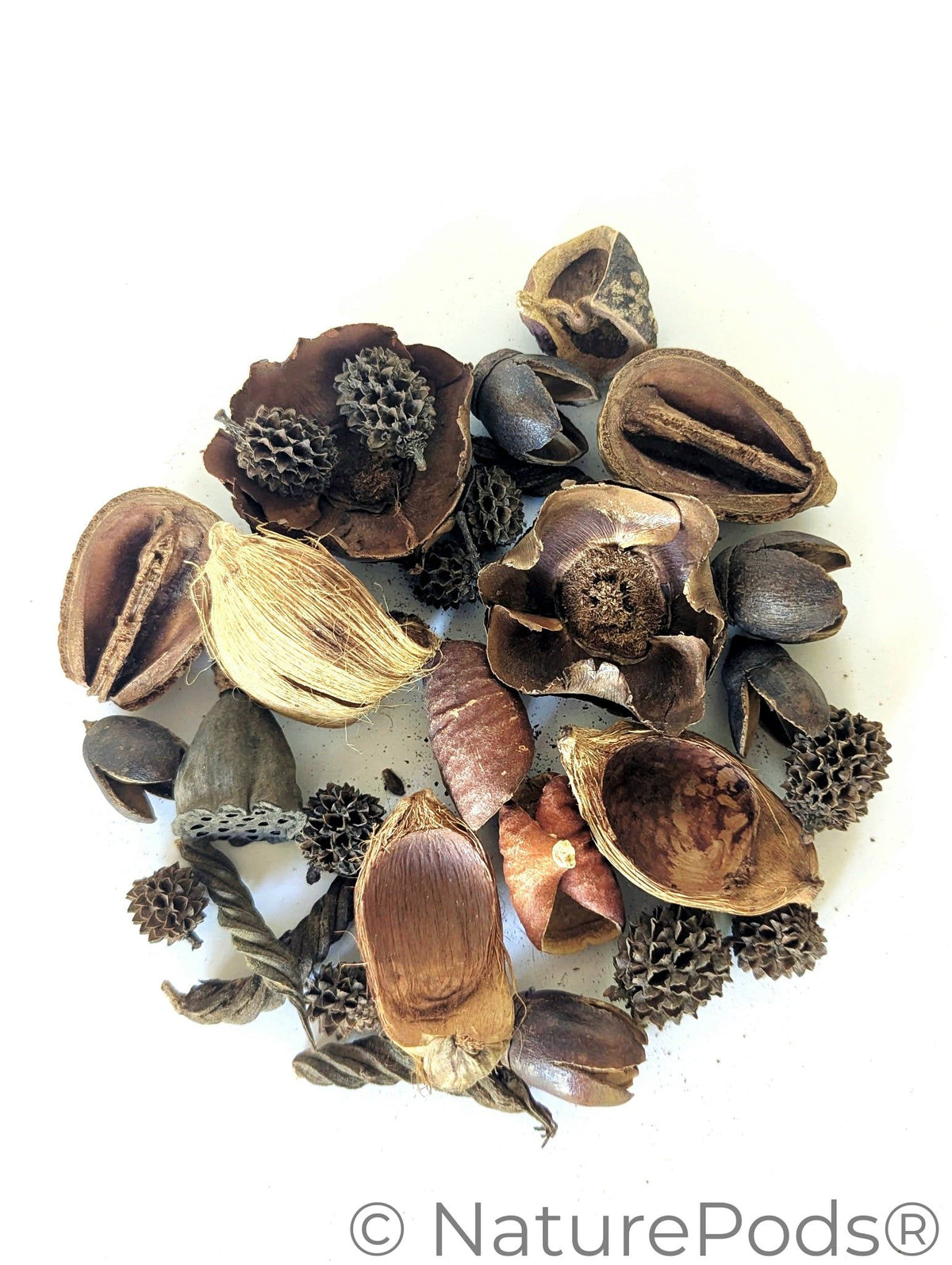 Mini/Nano Seed Pod Variety Pack - 30 Pieces