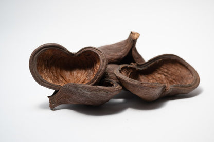 A photo of a pile of Jungle Pods. They are brown textured shells on a white background.