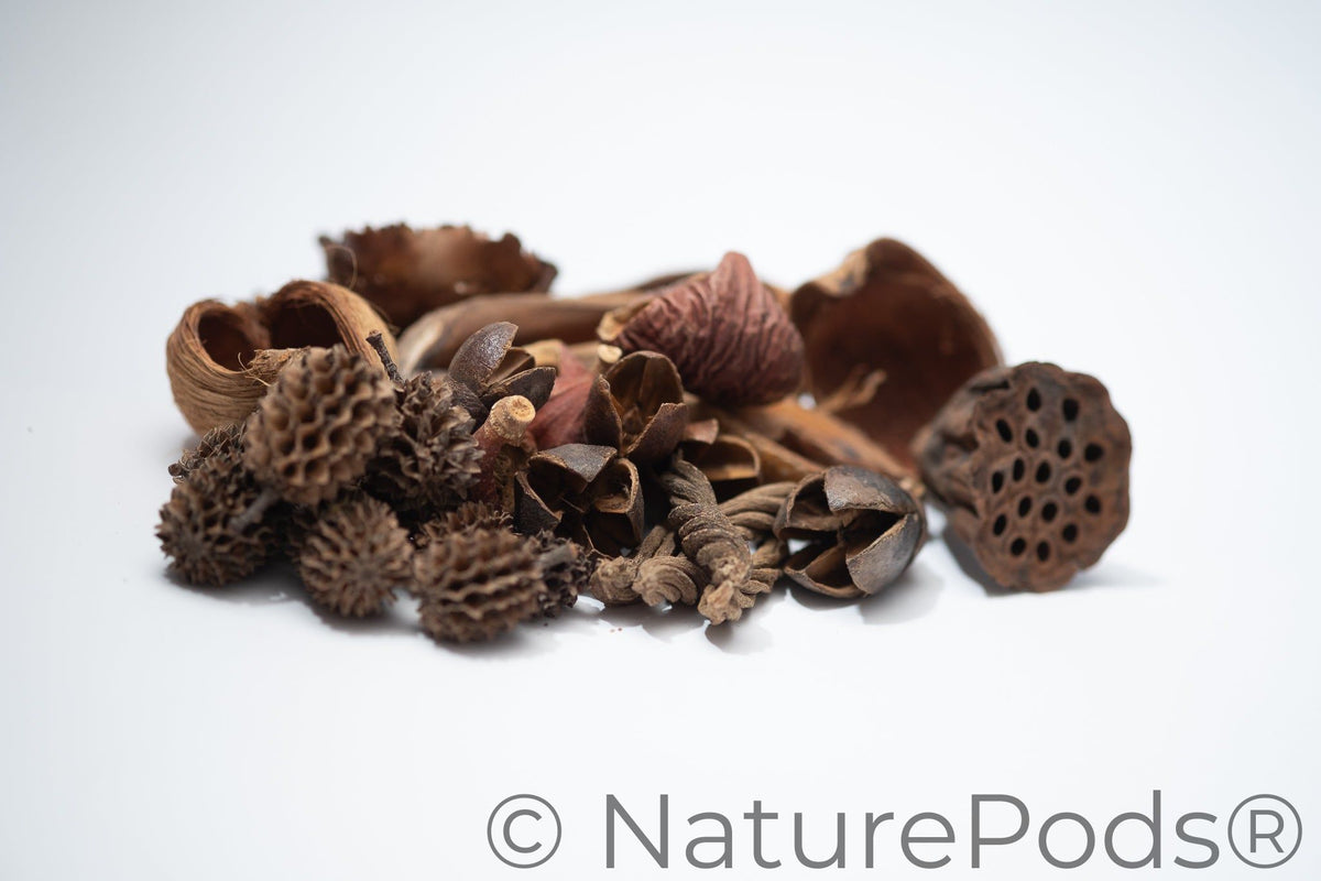 Mini/Nano Seed Pod Variety Pack - 30 Pieces