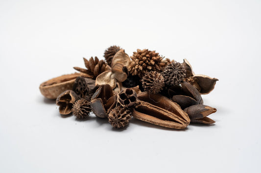 Mini/Nano Seed Pod Variety Pack - 37 Pieces