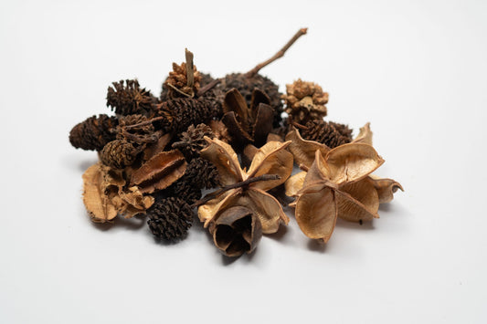Mini/Nano Seed Pod Variety Pack - 37 Pieces
