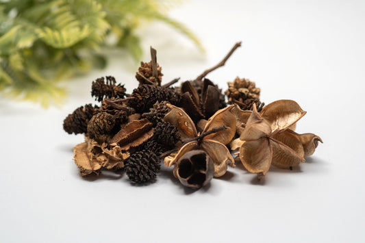 Mini/Nano Seed Pod Variety Pack - 37 Pieces