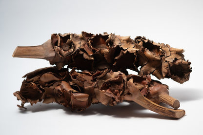 A photo of a pile of Palm Blossom Stalk. They are brown textured stalks on a white background.