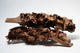 A photo of a pile of Palm Blossom Stalk. They are brown textured stalks on a white background.